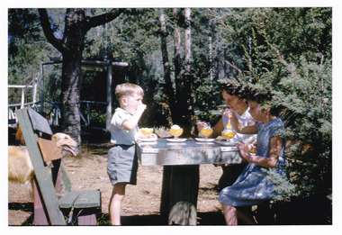 A colour photograph taken at the Fruit Salad Farm in Marysville in March 1963.