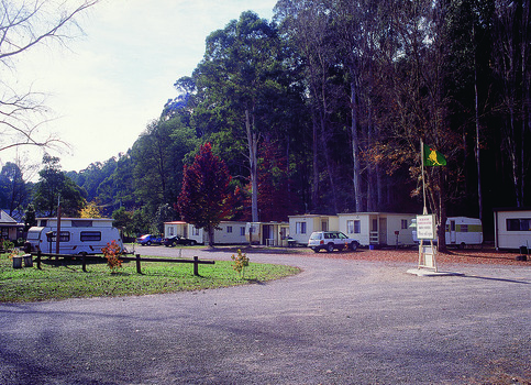 A colour photograph taken at the Marysville Caravan Park.