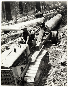 A digital copy of a black and white photograph of a Caterpiller crawler tractor moving logs for the Andersons Mill near Marysville.