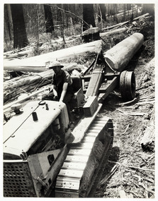 A digital copy of a black and white photograph of a Caterpiller crawler tractor moving logs for the Andersons Mill near Marysville.