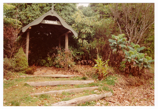 A colour photograph taken at Woodbine in Marysville.