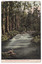 An early colour postcard of the Watts River at Fernshaw. The original photograph was taken by Nicholas John Caire.
Shows the River Watts flowing through the forest at Fernshaw. There are rapids in the river and a number of fallen trees lie across the river. There is a fallen tree in the foreground. The photograph appears to have been taken either early in the morning or at sunset. On the reverse of the postcard is a message and address handwritten in black ink. There is also an orange one penny Victorian postage stamp in the top right hand corner as well as a date stamp in black ink that runs along the upper edge of the postcard on the reverse.