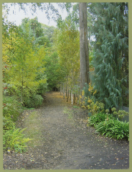 A colour photograph of Kerami Walk in Marysville.