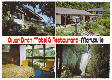 A colour photograph from the Silver Birch Motel and Restaurant in Marysville. On the reverse of the postcard is a space to write a message and to place a postage stamp. The postcard is unused.
