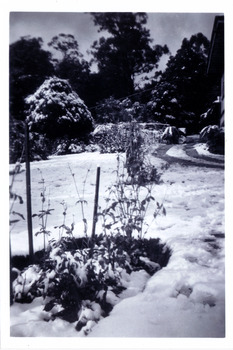 A black and white photograph taken at Mary Lodge Guest House in Marysville. The photograph was taken of the garden at Mary Lodge after a snowfall in April 1944.