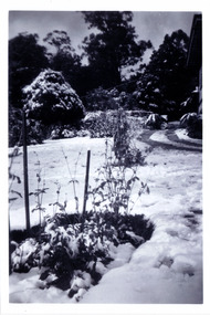 A black and white photograph taken at Mary Lodge Guest House in Marysville. The photograph was taken of the garden at Mary Lodge after a snowfall in April 1944.