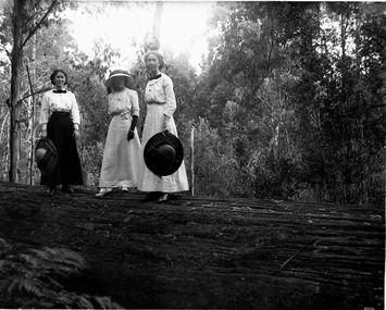 A digital copy of a black and white photograph of a group of guests who were staying at Kooringa guest house in Marysville. The original house was built in 1914 for Frederick Webb by the Cuzens Brothers. The original photograph was taken in the 1930s.