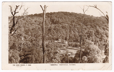 A black and white postcard from Kooringa Guesthouse in Marysville. The original house was built in 1914 for Frederick Webb by the Cuzens Brothers. The postcard was produced by "The Rose Stereographs" as a souvenir of Marysville. On the reverse is hand written message.