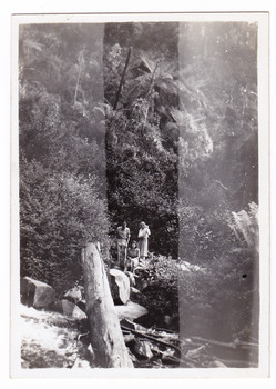 A black and white photograph taken at Steavenson Falls by a guest who was staying at Kooringa Guest House in Marysville. The photograph was taken in 1946.