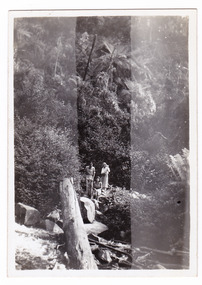A black and white photograph taken at Steavenson Falls by a guest who was staying at Kooringa Guest House in Marysville. The photograph was taken in 1946.