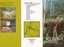 A brochure outlining the accommodation and facilities available at the Kooringa Conference Centre and guest house in Marysville.