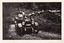 Two black and white photographs of cars travelling along the Black Spur in the 1920s.