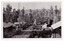 An early black and white postcard of the township of Cambarville near Marysville in Victoria. Cambarville was established as a timber mill town in the 1940s. Timber mill owners A. Cameron and F.J. Barton named Cambarville. They established the mill to salvage timber from trees destroyed in the 1939 bushfires. Cambarville was impacted by the 2009 Black Saturday bushfires and any remaining structures were destroyed. This postcard was produced by Valentine's Publishing Co as a souvenir of Marysville. On the reverse of the postcard is a space to write a message and an address and to place a postage stamp. The postcard is unused.