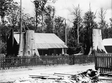 A copy of a black and white photograph of Cambarville township near Marysville. Cambarville was established as a timber mill town in the 1940s. Timber mill owners A. Cameron and F.J. Barton named Cambarville. They established the mill to salvage timber from trees destroyed in the 1939 bushfires. Cambarville was impacted by the 2009 Black Saturday bushfires and any remaining structures were destroyed. 