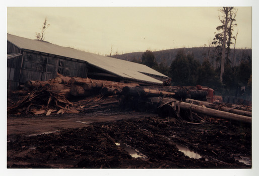 A copy of a colour photograph of the Cambarville timber mill in Victoria. Cambarville was established as a timber mill town in the 1940s. Timber mill owners A. Cameron and F.J. Barton named Cambarville. They established the mill to salvage timber from trees destroyed in the 1939 bushfires. Cambarville was impacted by the 2009 Black Saturday bushfires and any remaining structures were destroyed. The original photograph was taken in 1960.
