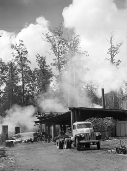 A digital copy of a black and white photograph of an old truck at the Cambarville timber mill near Marysville. Cambarville was established as a timber mill town in the 1940s. Timber mill owners A. Cameron and F.J. Barton named Cambarville. They established the mill to salvage timber from trees destroyed in the 1939 bushfires. Cambarville was impacted by the 2009 Black Saturday bushfires and any remaining structures were destroyed. The original photograph was taken in November 1945.