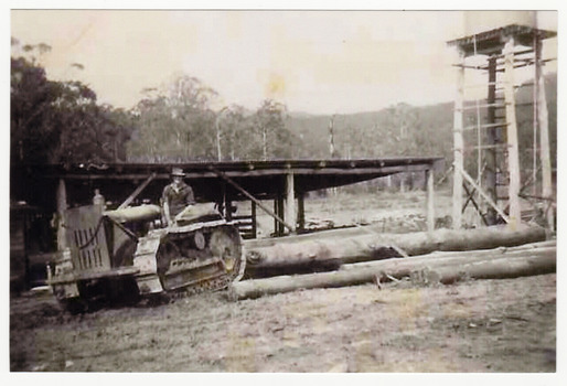 A copy of a black and white photograph taken at Feiglin's Sawmill near Marysville in Victoria. Feiglin's Sawmill (later the Narbethong Timber & Trading Co.) was a cornerstone of the regional timber industry on the Acheron Way in Narbethong, just outside Marysville. Following the devastating 1939 Black Friday bushfires, sawmill owners expanded into the region to salvage dead timber. Feiglin's was established in the Acheron Valley, employing local mill workers who lived in a small settlement of four-room cottages on Withers Lane.