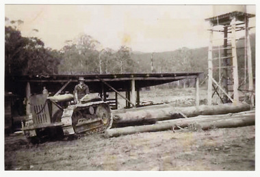 A copy of a black and white photograph taken at Feiglin's Sawmill near Marysville in Victoria. Feiglin's Sawmill (later the Narbethong Timber & Trading Co.) was a cornerstone of the regional timber industry on the Acheron Way in Narbethong, just outside Marysville. Following the devastating 1939 Black Friday bushfires, sawmill owners expanded into the region to salvage dead timber. Feiglin's was established in the Acheron Valley, employing local mill workers who lived in a small settlement of four-room cottages on Withers Lane.