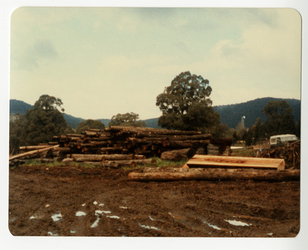 A colour photograph taken at Sunds Bros Sawmill in Marysville. Sund's Sawmill (historically operated by Arthur & John Sund and often referenced locally as Sund Stenco) was a prominent mid-century timber mill located in Marysville, Victoria. It played a central role in the region's booming post-war logging era. 
