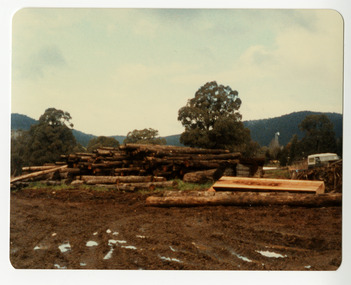 A colour photograph taken at Sunds Bros Sawmill in Marysville. Sund's Sawmill (historically operated by Arthur & John Sund and often referenced locally as Sund Stenco) was a prominent mid-century timber mill located in Marysville, Victoria. It played a central role in the region's booming post-war logging era. 
