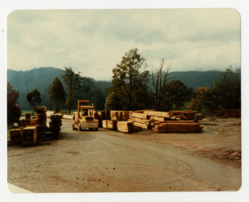 A colour photograph taken at Sunds Bros Sawmill in Marysville. Sund's Sawmill (historically operated by Arthur & John Sund and often referenced locally as Sund Stenco) was a prominent mid-century timber mill located in Marysville, Victoria. It played a central role in the region's booming post-war logging era. 