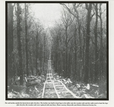 A page from a calendar with a black and white photograph taken of a wooden tramway after a bushfire had been through the area. The tramway was used to transport logs to the Andersons No. 1 and 2 mills.