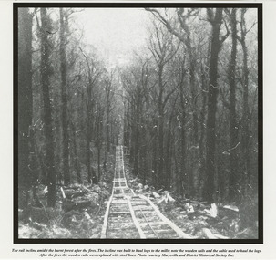 A page from a calendar with a black and white photograph taken of a wooden tramway after a bushfire had been through the area. The tramway was used to transport logs to the Andersons No. 1 and 2 mills.