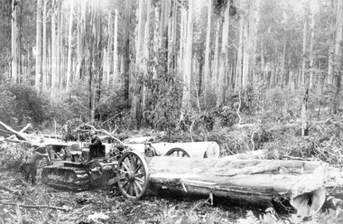 A copy of a black and white photograph of a crawler tractor hauling logs on a timber jinker in the forest.
