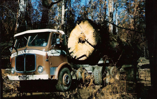 A digital copy of a colour photograph of one of the Bantick Bros's trucks hauling a large log on a timber jinker. Bantick Bros. Pty. Ltd. was a prominent, multi-generational logging and transport business originally based in Marysville, Victoria.The company is a major part of the regional forestry and timber history of the Yarra Valley and North East Victoria. Formed by the Bantick family (including D.V., V.L., and R. Bantick), the company operated commercial heavy goods vehicles and hardwood logging trucks. They held licenses dating back to at least the 1940s through the 1970s and 80s to haul massive timber logs from forest landings across the Niagaroon and Upper Yarra forestry districts, as well as the North Big River area. In addition to their core logging and transport divisions, the family name was heavily tied to the local community—including running Bantick's Garage in Marysville during the mid-1970s.
