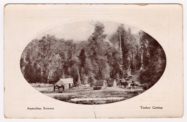 A black and white postcard of a splitters hut at Bellel near Marysville. A timber splitter (historically also called a paling-splitter or wood-splitter) was a manual forest worker who felled large trees and split the wood along the grain into useful building materials and fencing components using hand tools like axes, heavy wooden mallets (mauls), and iron wedges. On the reverse of the postcard is a hand written message.