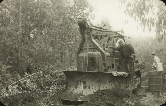 A digital copy of a black and white photograph of a crawler tractor removing tree debris in the forest.