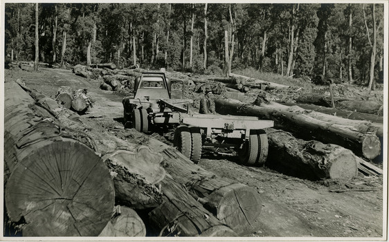 A black and white photograph of logs being unloaded from a timber jinker at J.L. Goulds Sawmill in Marysville.