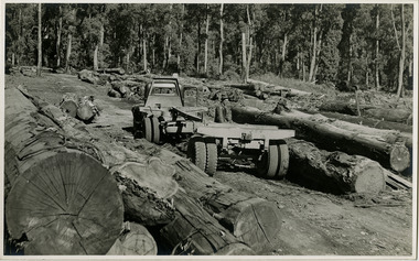 A black and white photograph of logs being unloaded from a timber jinker at J.L. Goulds Sawmill in Marysville.