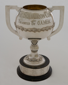 The Squadron Cup