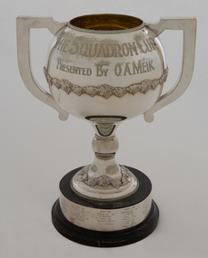 Award - The Squadron Cup