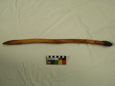 digging Stick