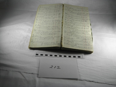 Book, Day, Day Book, 20 January 1920 to 27 April 1921