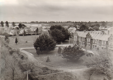 Aerial view of School building and houses in Howitt Street