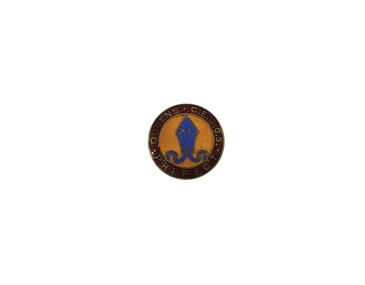 Accessory - Pin