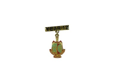 Accessory - Year 12 pin, circa 1995 - 2000