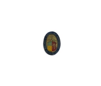 Accessory - Ballarat and Queens' Old Grammarians Association pin