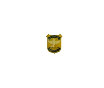 Accessory - Pin, 2016