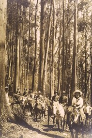 Sepia Photograph, Mt Donna Buang, Warburton, 1912 (exact)