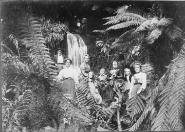 Negative Photographic Reproduction, Jenkins family at Millgrove, 1893, 14.2.1988 (exact)