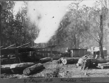 Negative Photographic Reproduction, E Lloyds Mill, Hoddles Creek, 13/4/1983