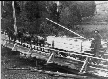 Negative Photographic Reproduction, Arthur Witnish's horse team hauling timber across bridge over Black Sands Creek, 14.2.1983