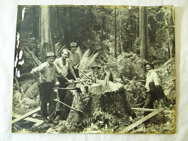 PH Timber Fellers, Fallers in Powelltown bush including George Potter