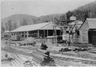 Negative Photographic Reproduction, Victorian Hardwood Co, Powelltown, 14.2.1983