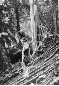 Negative Photographic Reproduction, Charlie McCrae of Wesburn on Platts Tramway Mt Ben Cairn, 1920