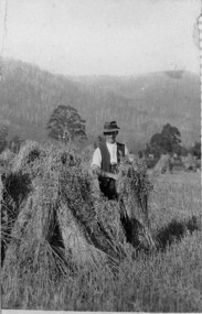 Negative Photographic Reproduction, Stacks of Hay - C McCrae Wesburn